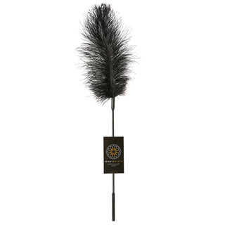 Sportsheets Ostrich Tickler-Black - The Essence of Desire
